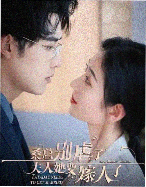 午夜电影网-资讯：2025午夜电影票房榜